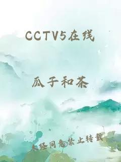 CCTV5在线